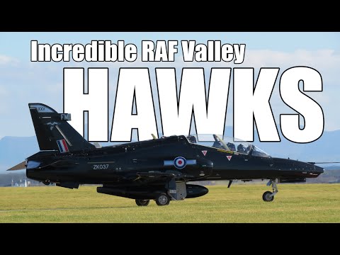 Incredible Hawk Fast Jets at RAF Valley (Close up with Hawks and Pilots)