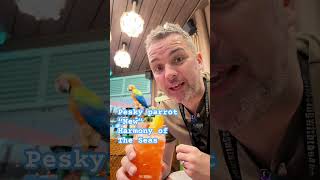 Harmony of the seas, NEW cocktail bar  #cocktail #royalcaribbean #travel