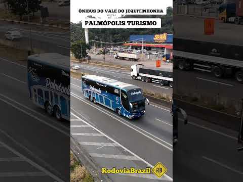 ÔNIBUS 2023 PALMÓPOLIS TURISMO. BR 381 FERNÃO DIAS ATIBAIA SP #rodoviabrazil #bus #shorts