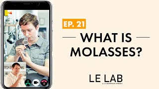 What is Molasses ? (ep. 21)