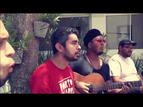 O Passarinho Rosa - Baluarte