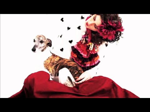 Video thumbnail for A Menina e o Cachorro