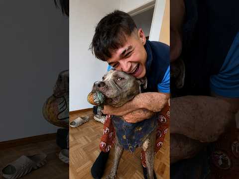adopte un perro de la calle
