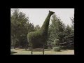 Sesame Street Giraffe Bush