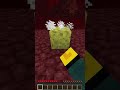 Minecraft Sponge Tricks