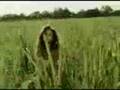 Beyonce-Antepin Hamamları 
