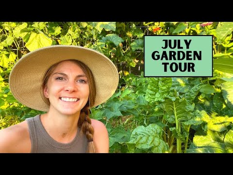 SUMMER GARDEN TOUR // July Gardening in Zone 9b (Sacramento, CA)