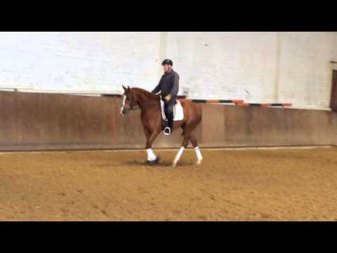 Quasar de Charry 02 04 16