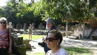 preview picture of video '11/7 /2018 Cozumel Mexico - San Gervasio - Annoying Tourist'