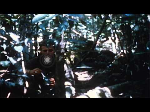 Sweep of suspect enemy positions by 4th Infantry Division which walk through and ...HD Stock Footage