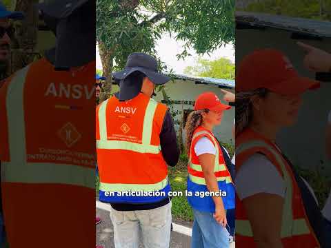 ¡Morelia cuenta con una mejor señalización vial!