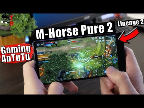 M-Horse Pure 2 Performance Test: Gaming and Benchmarks