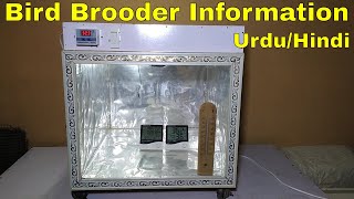 Square bird brooder with w3001 information Urdu/Hindi