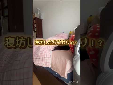 社会福祉学科 一人暮らしあるある #淑徳大学 #shorts