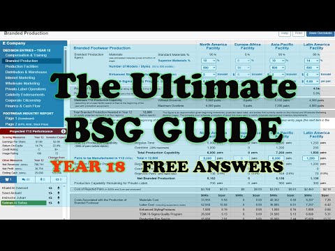 BSG Business Strategy Game Year 18 Answers 2025!