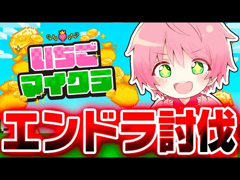 【 #いちごマイクラ 】エンドラを討伐したり飛行機をゲットしてお金を溜めまくるぞ！wwwww【4日目】【STPR／すとぷり／騎士X／AMPTAK／めておら／すにすて／STPR Family】