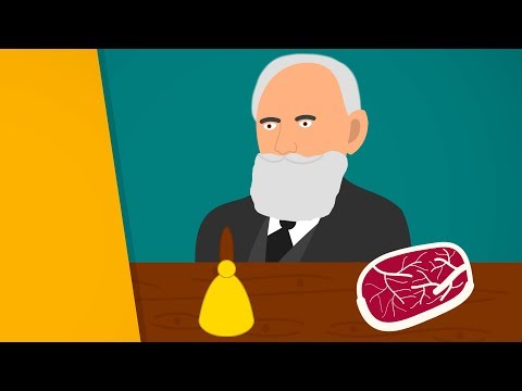 Der Pawlow´sche Hund | Das klassische Konditionieren [#1]