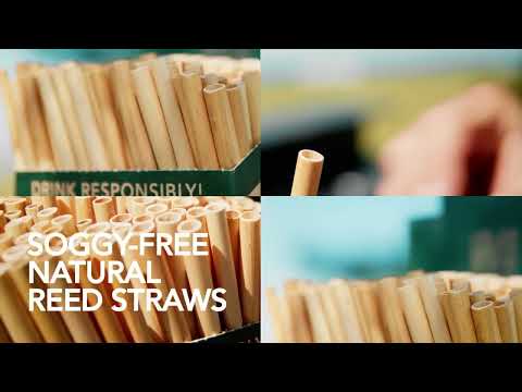 Reedest Cocktail Reed Straws for High-ball Glass