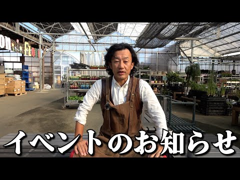 リピケファルス・サンギネウスについて詳しく解説