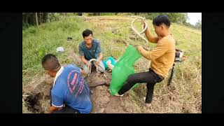 Download lagu Sampon ka jhund 🐍🐍🐍🐍🧑‍🦯 mp3