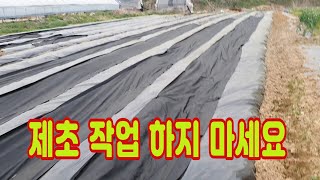 이제 제초 작업 하지마세요