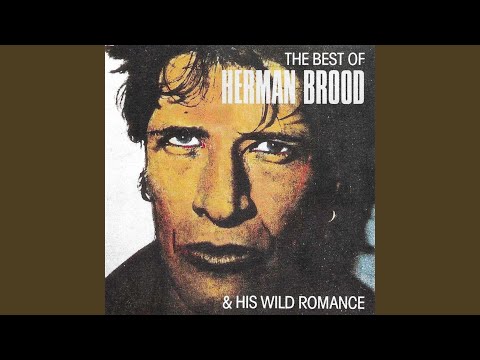Never Be Clever - Herman Brood & His Wild Romance