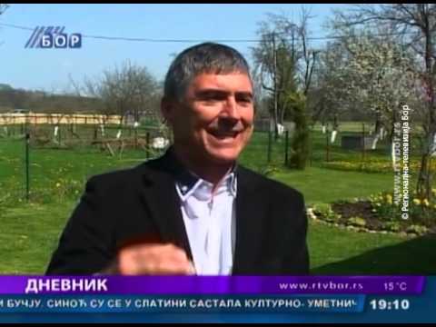 Dnevnik, 09. april 2016. (RTV Bor)