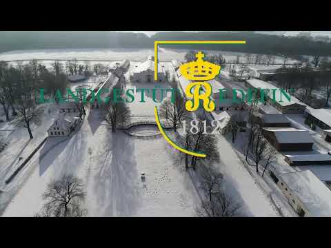 Go for Romance, Oldenburger, Hengst, v. Governor - Fürst Romancier * 2018