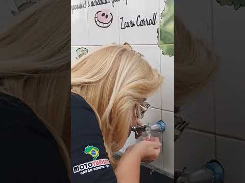 Em Pedrinhas Paulista me deparo com um bosque no centro da cidade. Amei ❤️