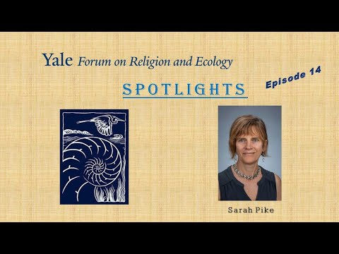 FORE Spotlights ~ Episode 14, Sarah Pike, California State University, Chico