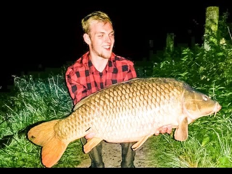 Karpfenangeln - Gute Boilies günstig selbstgemacht - BFM Next Generation