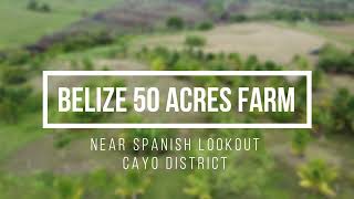 Belize Off-grid 50 Acre Farm For Sale with Jungle, Ponds & Tropical Fruit Trees