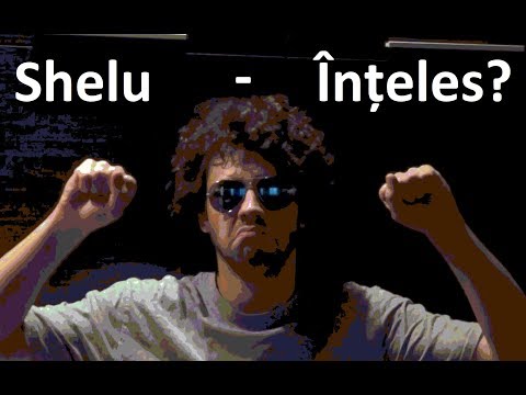 Shelu - ÎNȚELES? (Video)