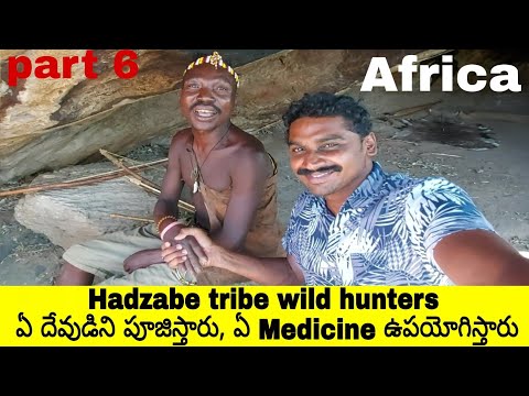 Hadzabe Tribe medicine | African baobab tree | part 6 | Tanzania | Uma Telugu Traveller