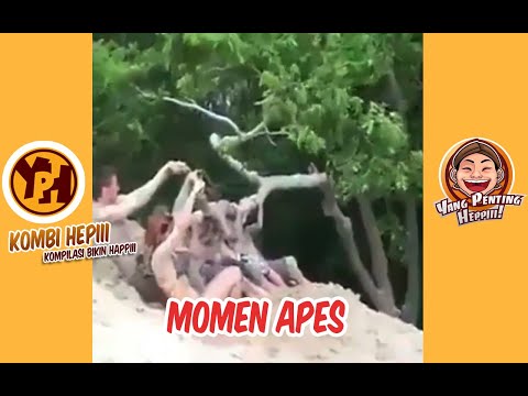 kombi-heppiii-momen-apes