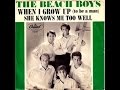The Beach Boys - "When I Grow Up(To Be a Man) - Original Mono LP - HQ