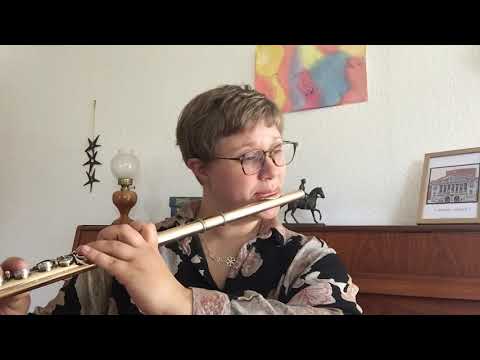 Instrumentpræsentation af tværfløjten!