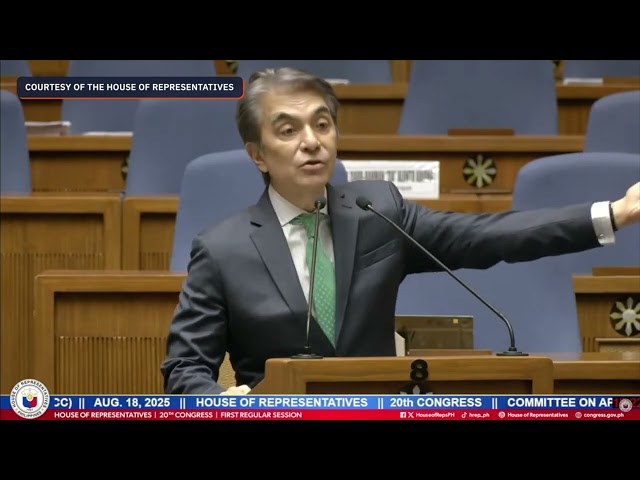 Hinihiling ng Tiangco na ilabas ang panel ng badyet ng bahay 2025 Maliit na Komite ng Komite