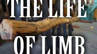 preview picture of video 'The Life of Limb'