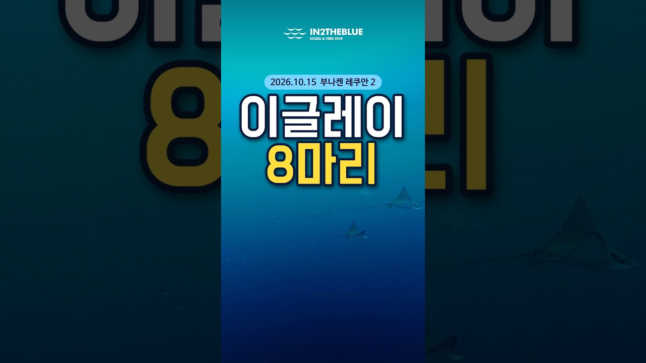 이글레이 8마리 — 부나켄 레쿠안 2 | 2026.10.15 인투블 마나도