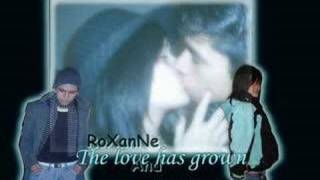 Lovebugs avalon- Kristiann