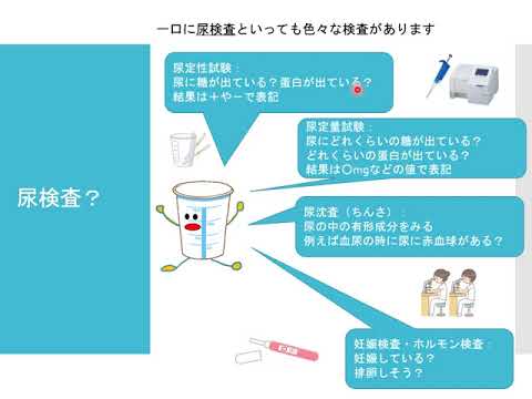 【医学部保健学科】知ってみたい・臨床検査4（一般検査）