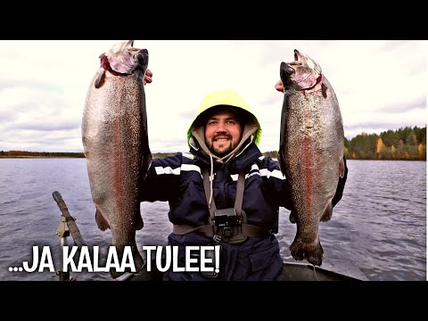 VEDETÄÄN TAAS KIRJOLOHTA VAAPUILLA - UUSIA VIRITYKSIÄ TESTISSÄ, JOTKA EI OLLU PAREMPIA KU VANHAT 😅