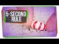 Is the Five-Second Rule Real?