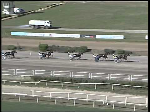 Trotto 16/10/2014 - 2° prova di qualifica