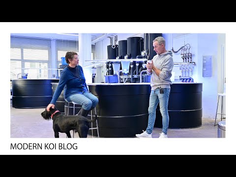 Modern Koi Blog #4987 - Should you remove the filter dust from the biofilter?