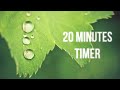 20 Min  RELAXATION MUSIC FOR STRESS RELIEF AND HEALING MEDITATION