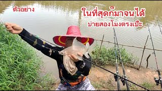 มาตามนัดบ่ายสองโมงตรง ใต้สะพาน 331 #คลองท่าลาด หมายนี้ปลากาดำได้ตลาด #ตกปลา #อนันต์ชาแนล #fishing
