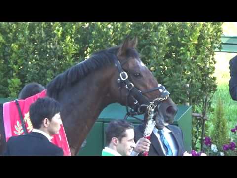 ホープフルステークス レイデオロ 口取り式