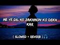 Me Ye Dil Ke Zakhmon Ko Dekh Kar Slowed Reverb Bollywood Song New Version